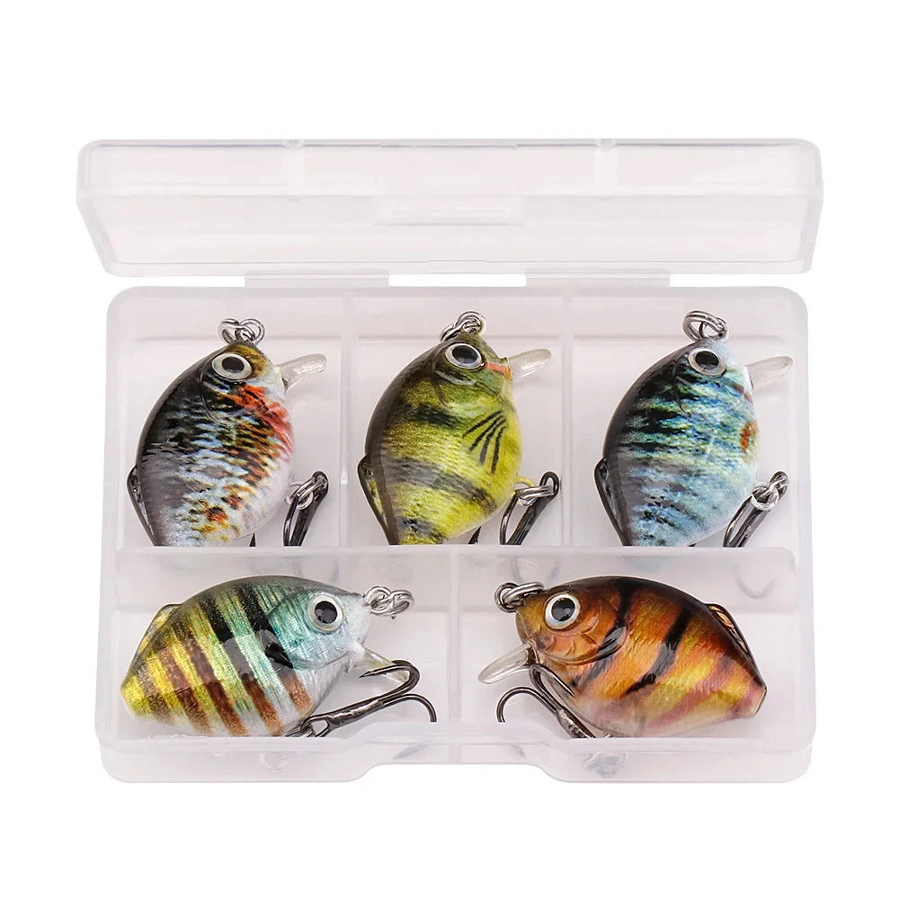 5pcs Mini Fish Lure Set - AureliaAdventure