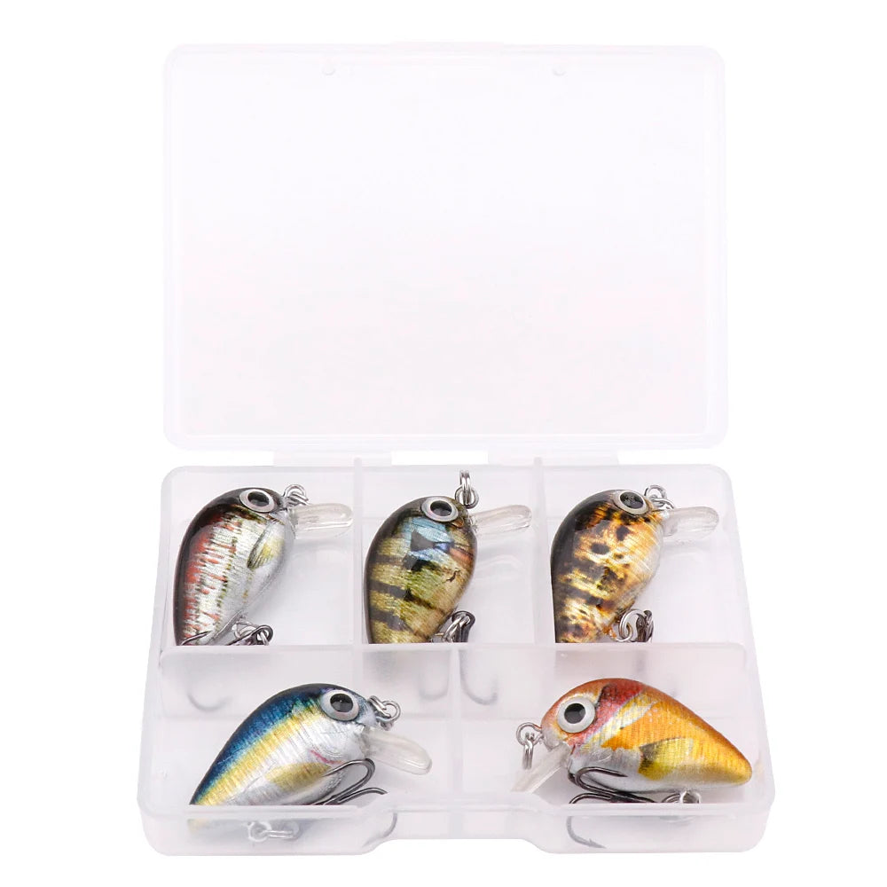 5pcs Mini Fish Lure Set - AureliaAdventure
