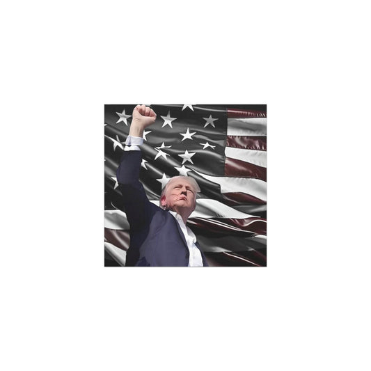 TRUMP'S MAGNET - AureliaAdventure