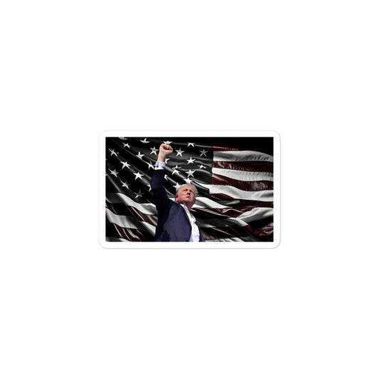 TRUMP'S STICKER - AureliaAdventure