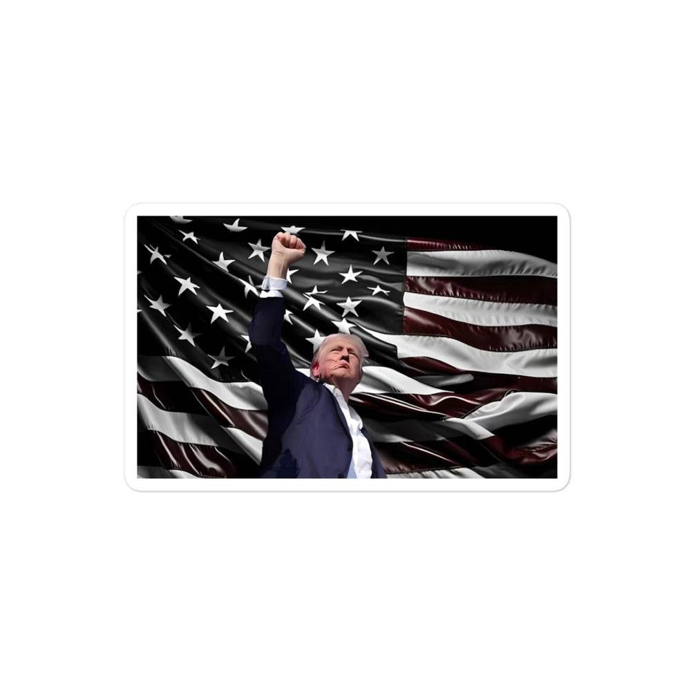 TRUMP'S STICKER - AureliaAdventure