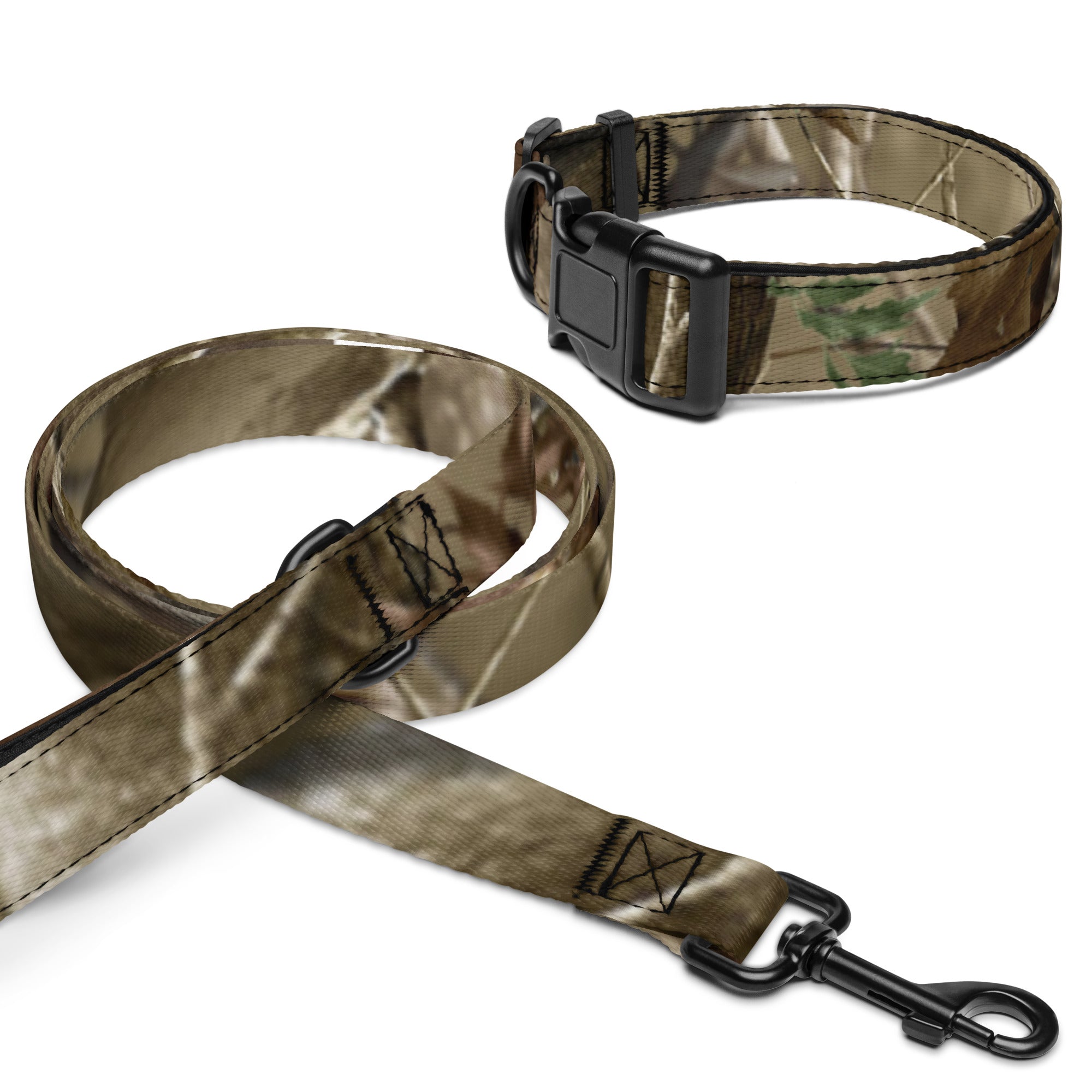 Pet collar & leash - AureliaAdventure